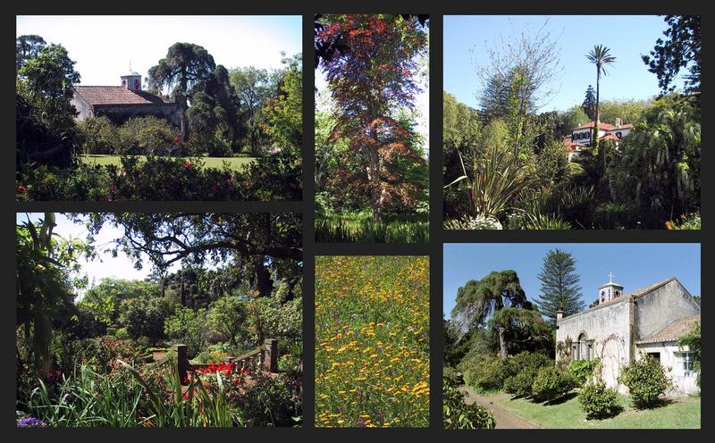 Jardins da Quinta do Palheiro Ferreiro