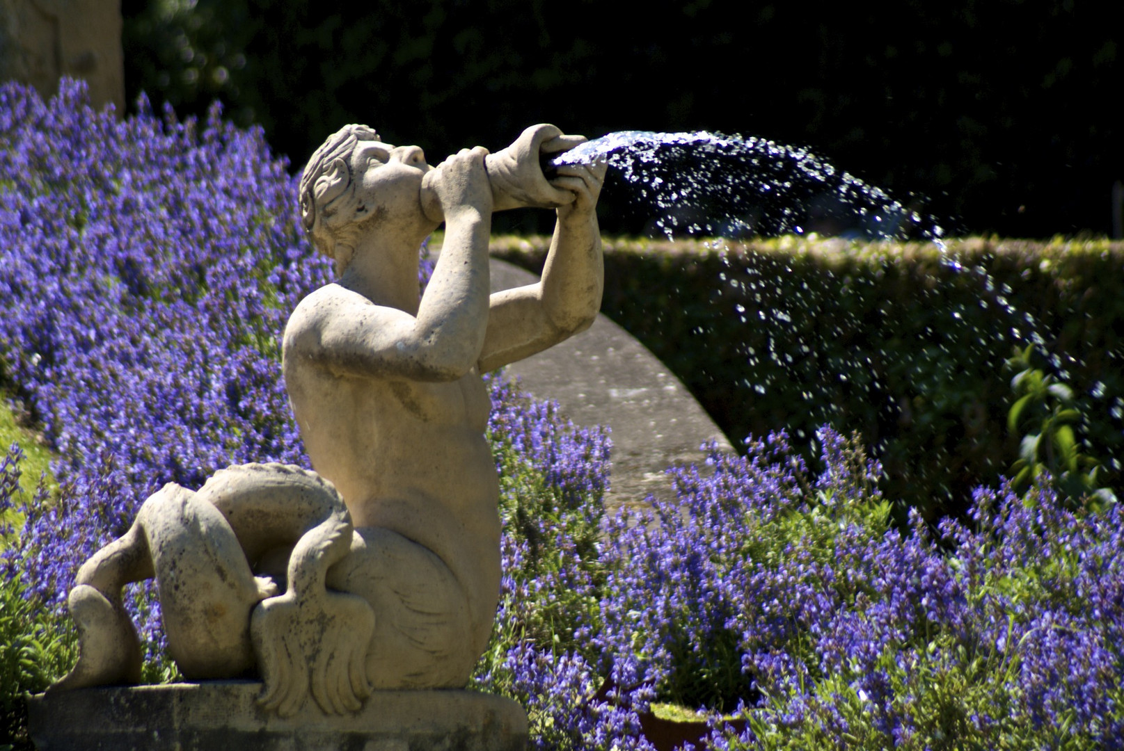 Jardins d'Albertas