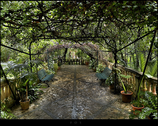 Jardins D'alfàbia (para Ferran Petit)