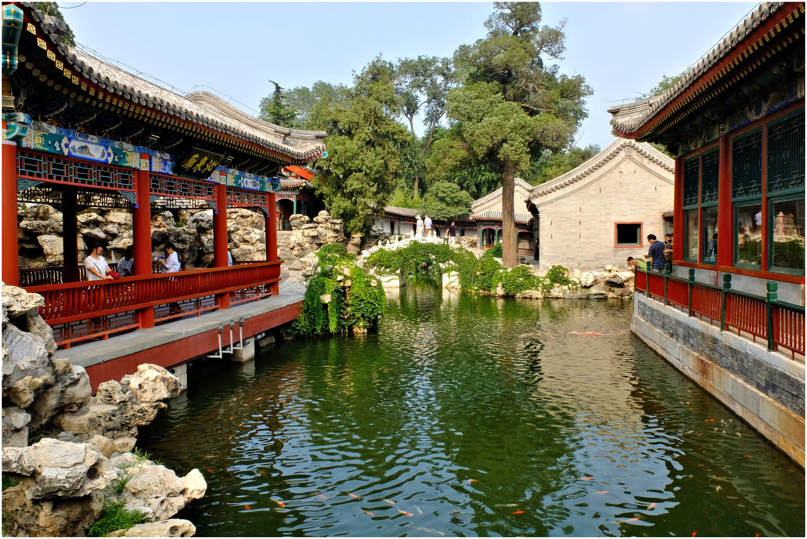 Jardins de Chine (3)