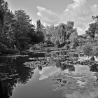 Jardins de Claude Monet, Giverny