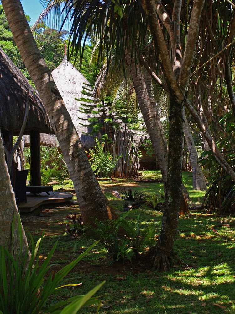 Jardins de l’ Hôtel Kanua Tera Ecolodge à Port Boisé        