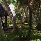 Jardins de l’ Hôtel Kanua Tera Ecolodge à Port Boisé        