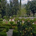 jardins de la villa torrigiani