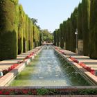 jardins de l'alcazar