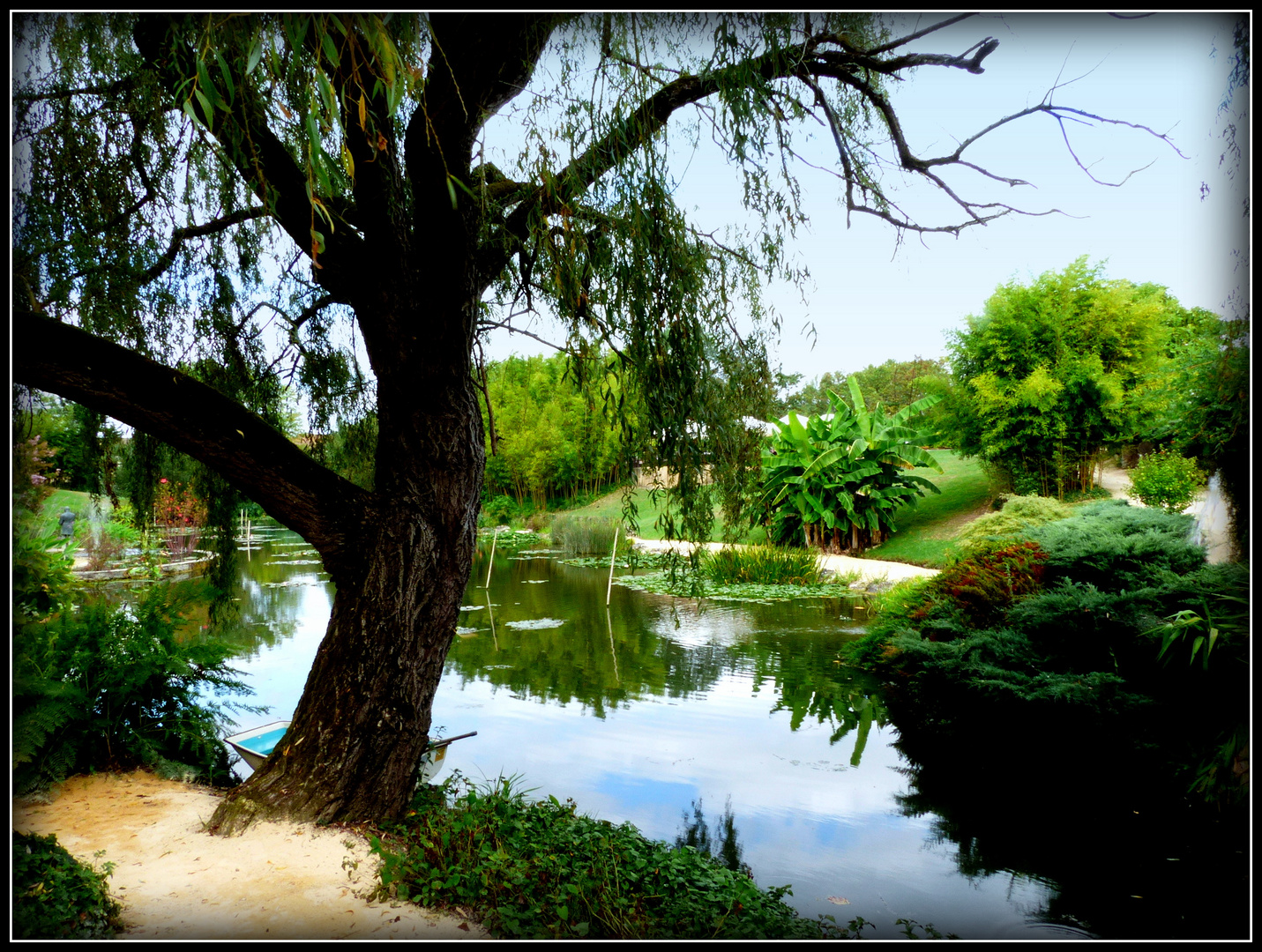 JARDINS - de - LATOUR - MARLIAC - 13 -