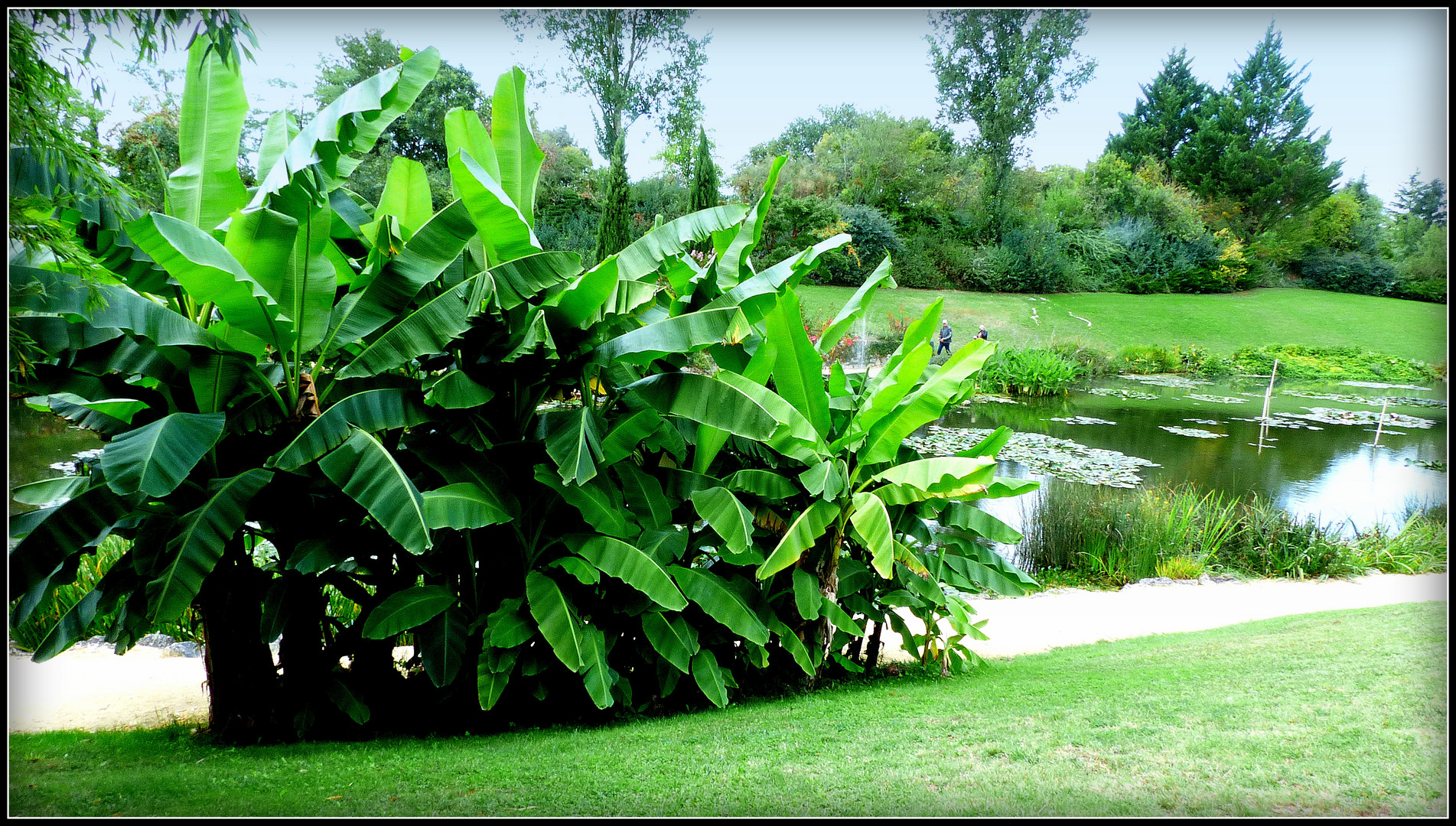 JARDINS - de - LATOUR - MARLIAC - 14 