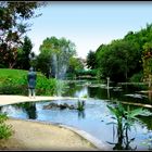 JARDINS - de - LATOUR-MARLIAC - 17 - 