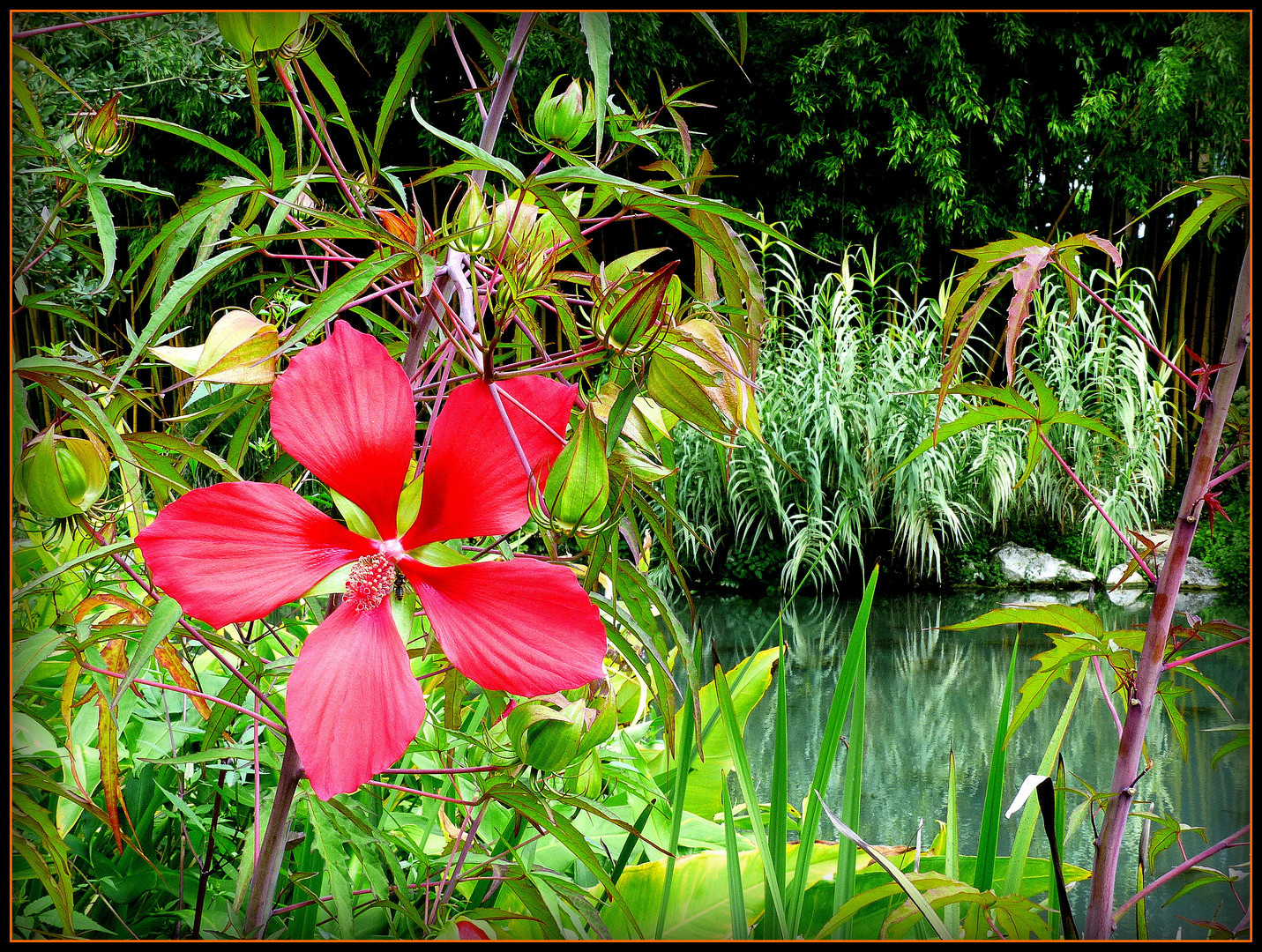 JARDINS - de - LATOUR-MARLIAC - 21 - ( agrandir plein écran ) 