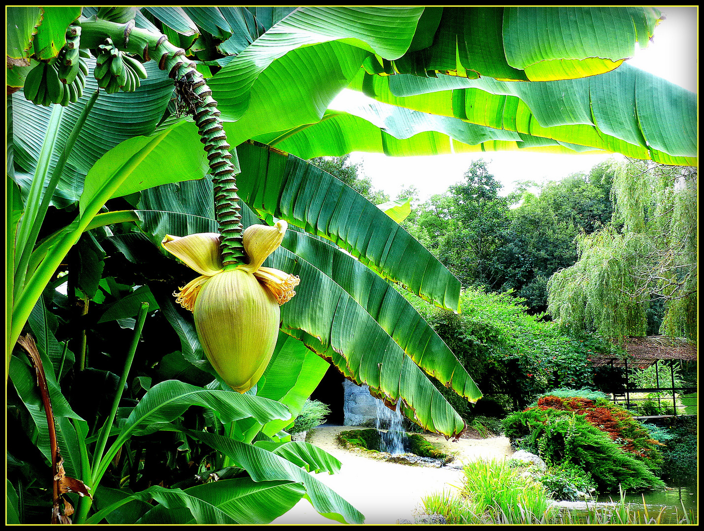 JARDINS - de - LATOUR - MARLIAC - 9 - 