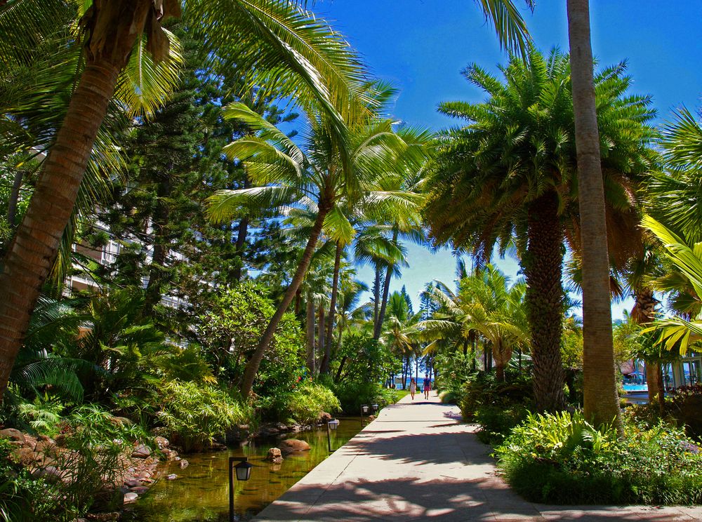 Jardins de l’Hôtel Méridien de Nouméa
