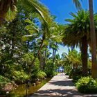 Jardins de l’Hôtel Méridien de Nouméa