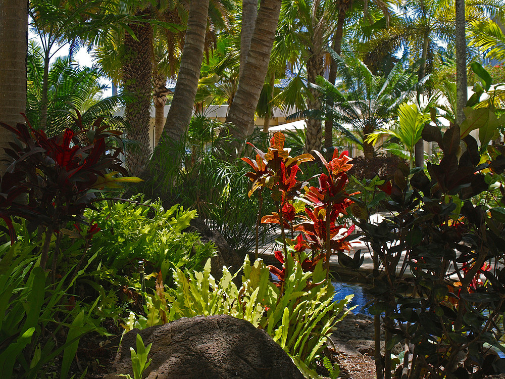 Jardins de l’Hôtel Méridien, Nouméa -- Gärten des Meridien Hotels in Nouméa