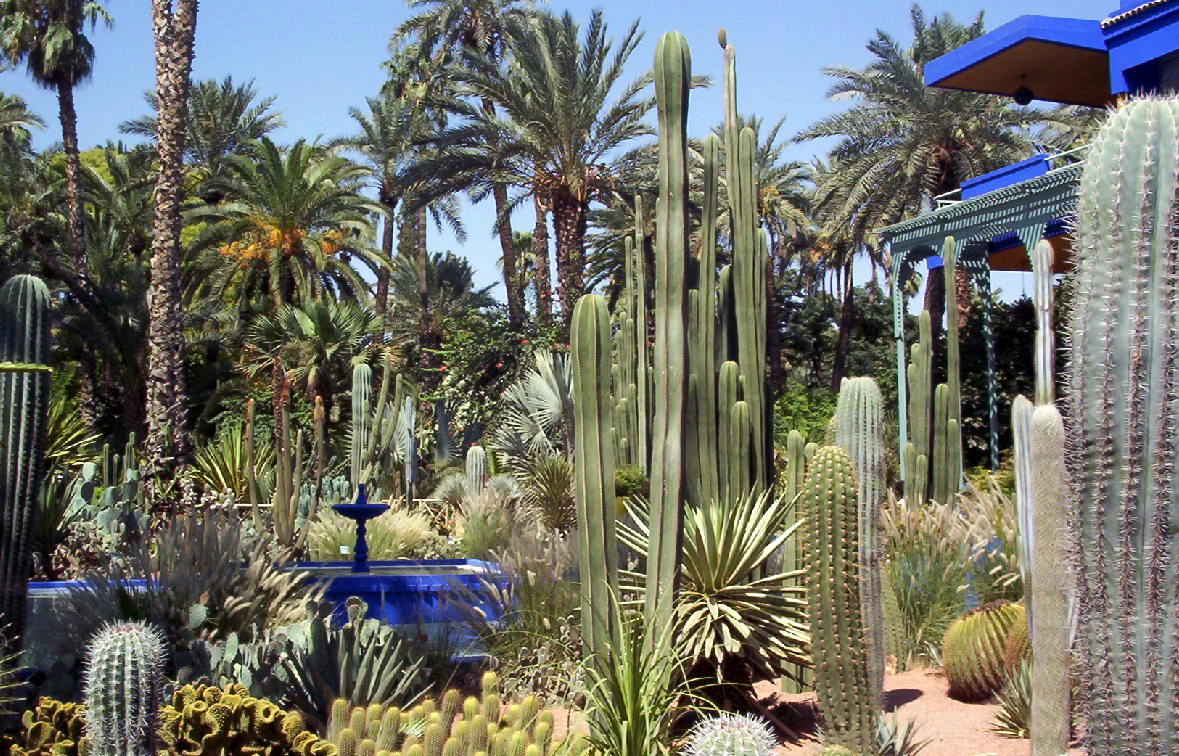 Jardins de Majorelle, Maroc