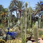 Jardins de Majorelle, Maroc