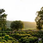 Jardins de Marqueyssac