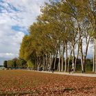 Jardins de Versailles