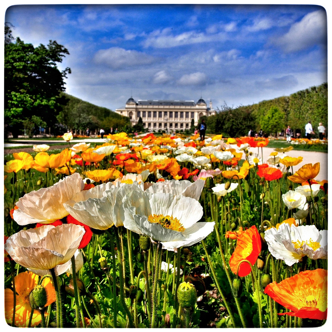 Jardins des Plantes