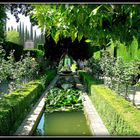 JARDINS DU GENERALIFE