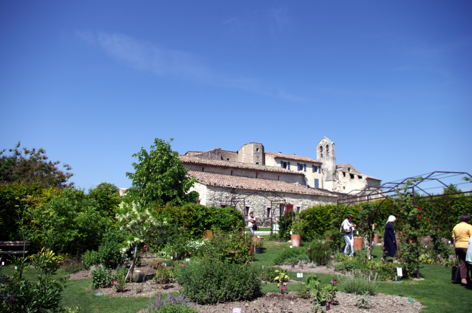 Jardins du Prieuré de Salagon (04)