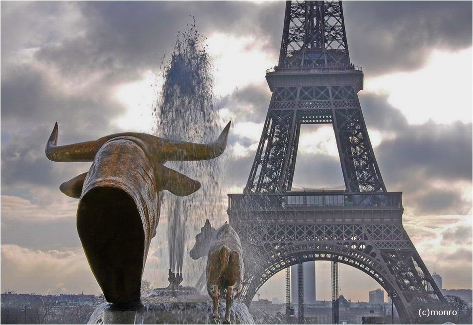 ~  Jardins du Trocadéro ~