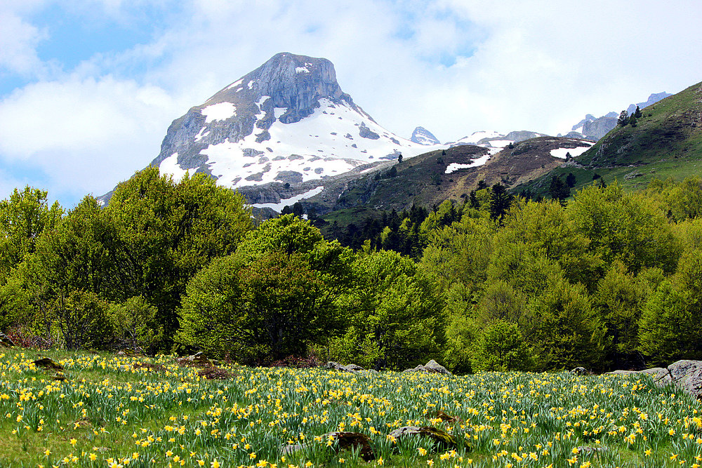 Jardins Fleuris........