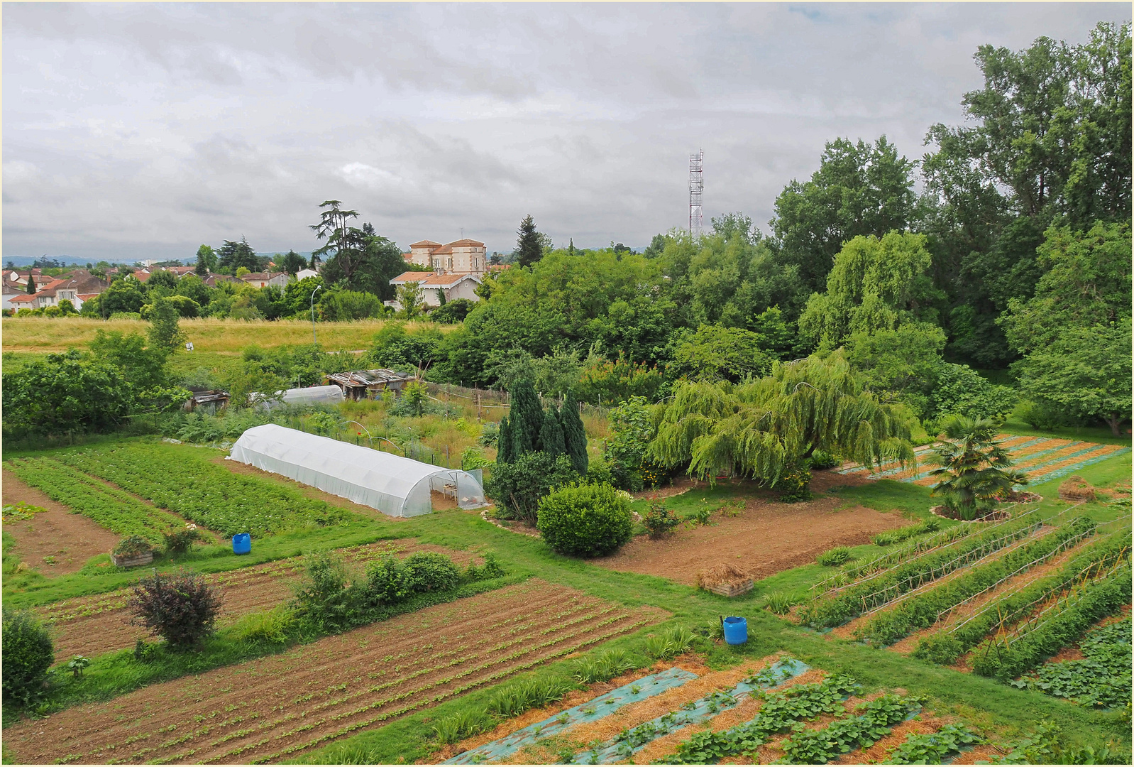 Jardins potagers le long de la Garonne