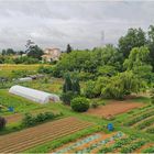 Jardins potagers le long de la Garonne