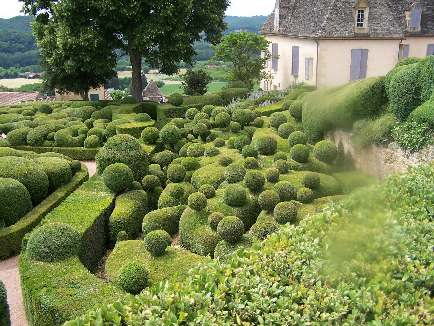 Jardins suspendus du Château de Marqueyssac à Vézac (24).