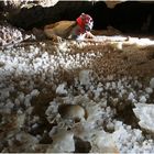 Jarrito - Gran Paleocaverna de Bellamar