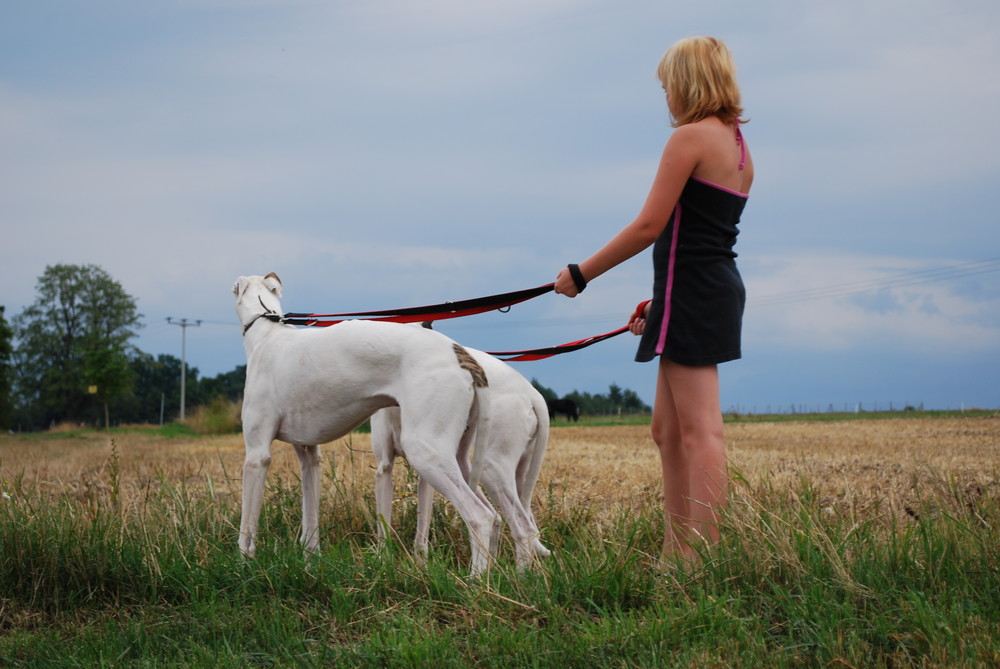 Jasmin mit Elton und Emy vom Vugelbeerbaam