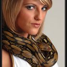 Jasmin mit Python