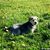 Jasmin1995