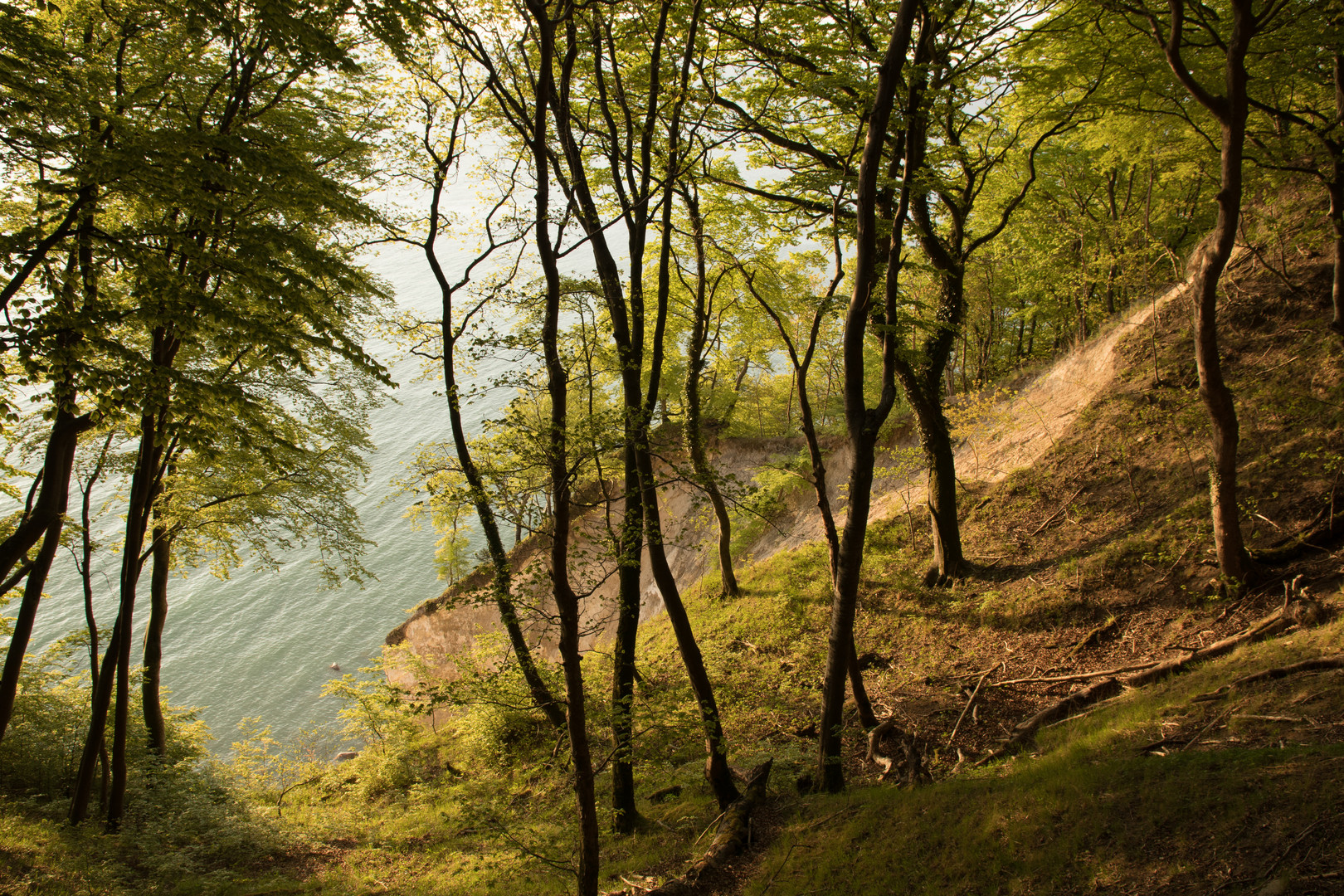 Jasmund Nationalpark