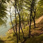 Jasmund Nationalpark