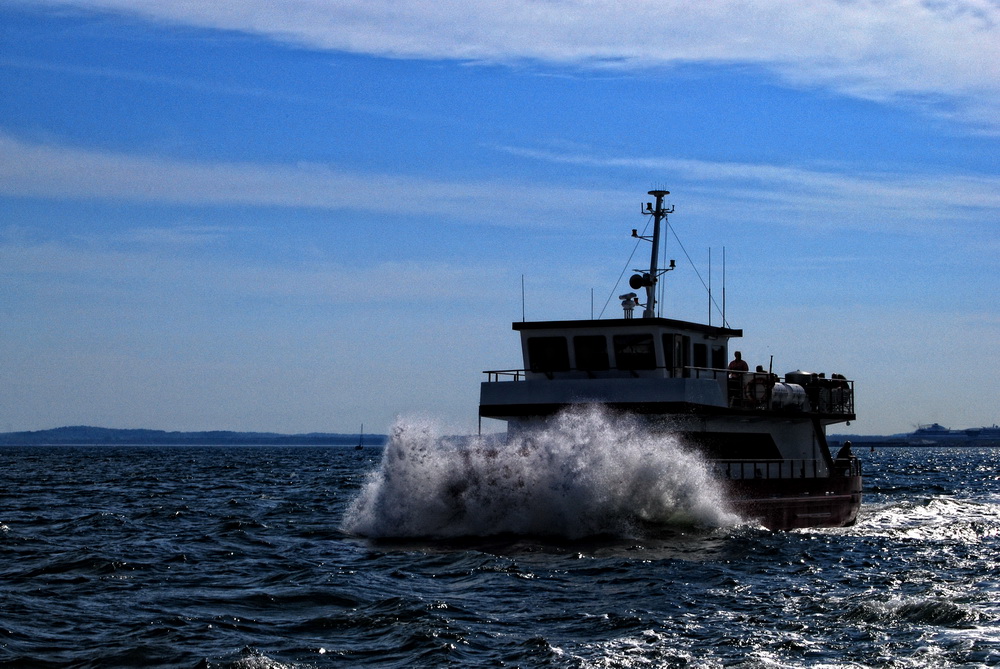 Jasmund / Rügen