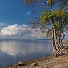 Jasmunder Wolkenspiegelei