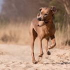 Jason mit seinem Ball....