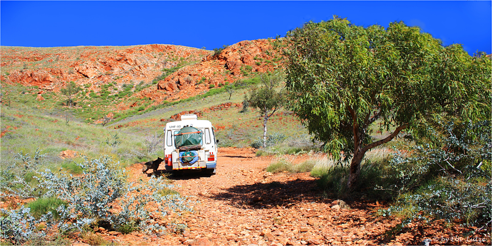 *** Jasper Creek Fossicking Site ***