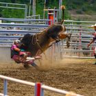 Jasper Heritage Rodeo