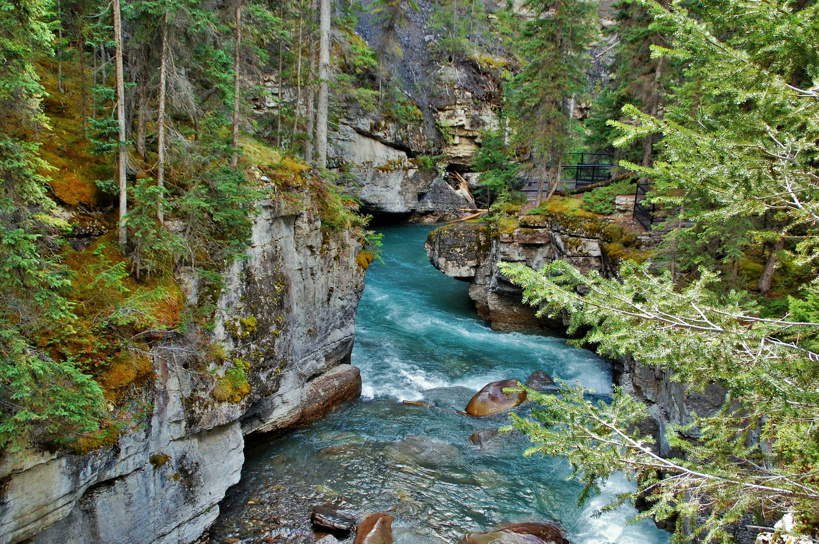 Jasper maligne canyon