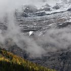 Jasper national park