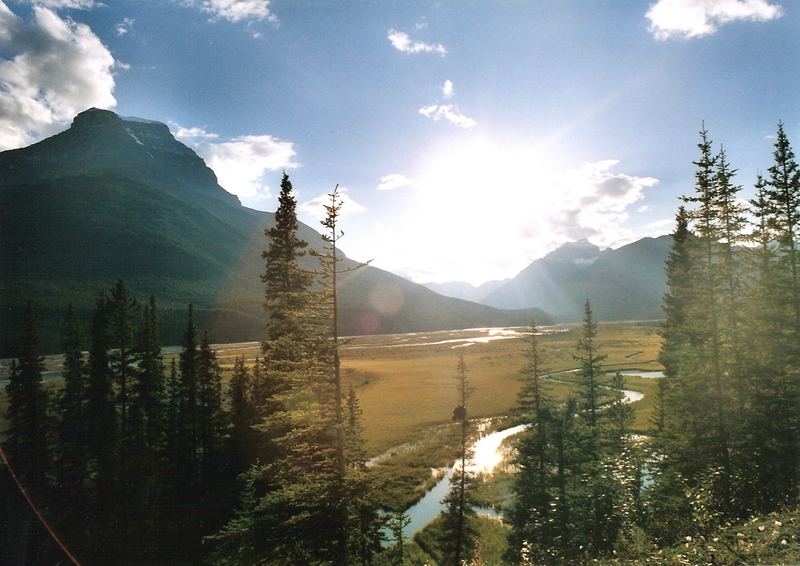 Jasper National Park - Saskatchewan River