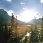 Jasper National Park - Saskatchewan River