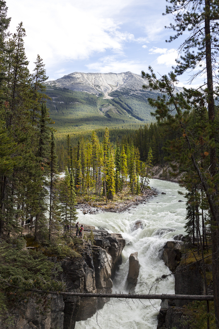 Jasper National Park - Sunwapta Falls