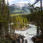 Jasper National Park - Sunwapta Falls