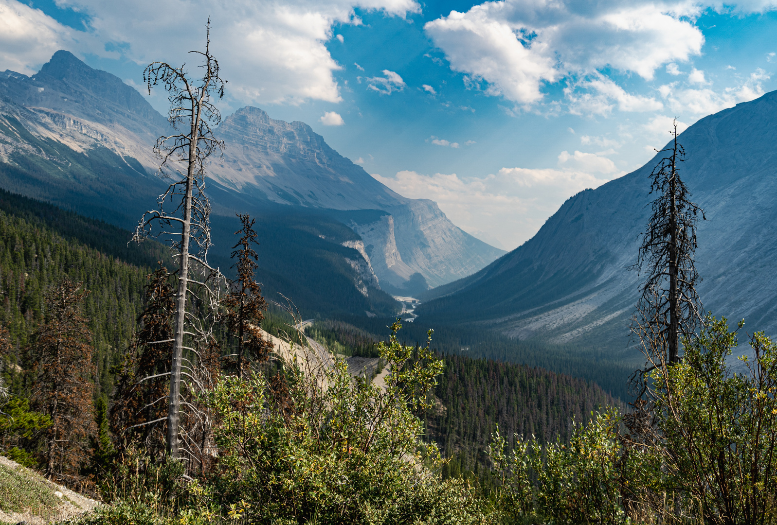 Jasper Nationalpark