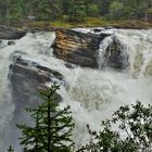 Jasper Nationalpark