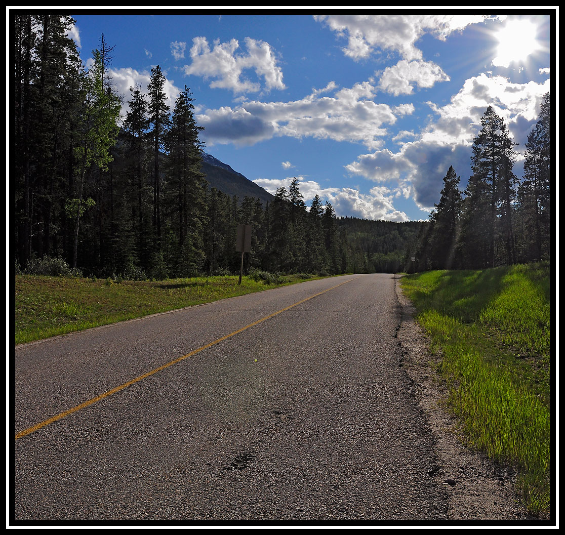 Jasper Nationalpark Canada Forestroad