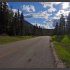 Jasper Nationalpark Canada Forestroad